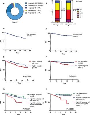 The independent adverse prognostic significance of 1q21 gain/amplification in newly diagnosed multiple myeloma patients